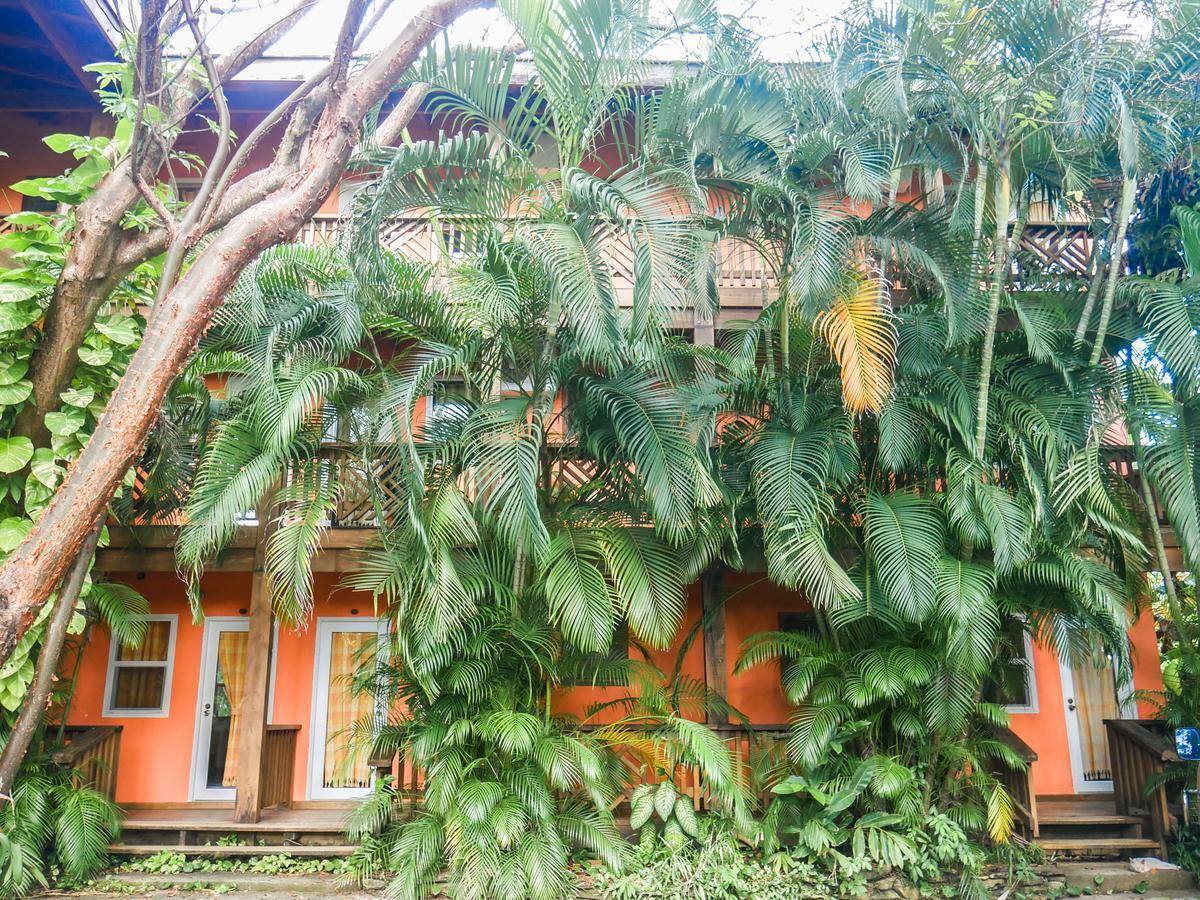 Hotel Posada Las Orquideas,West End Exteriér fotografie