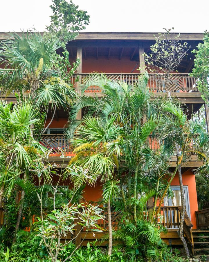 Hotel Posada Las Orquideas,West End Exteriér fotografie