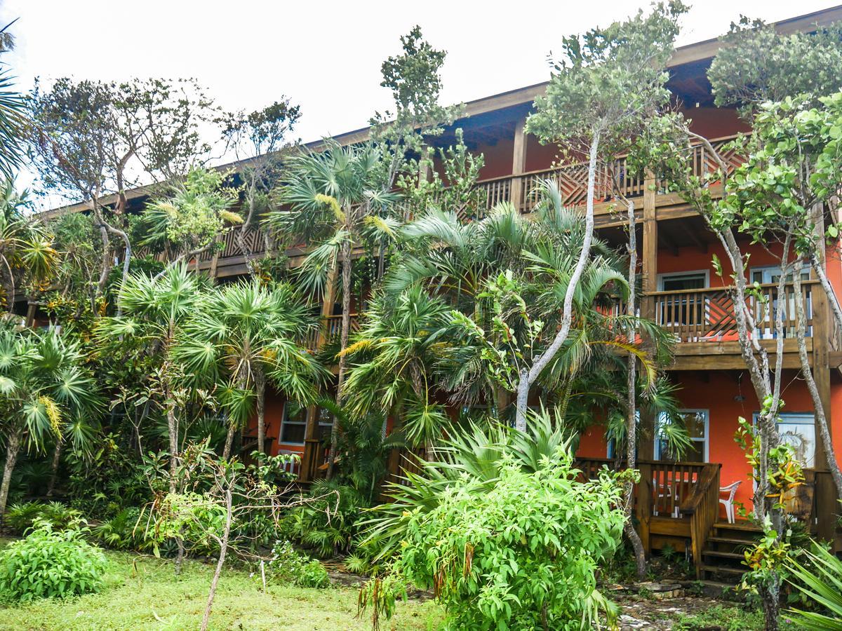 Hotel Posada Las Orquideas,West End Exteriér fotografie