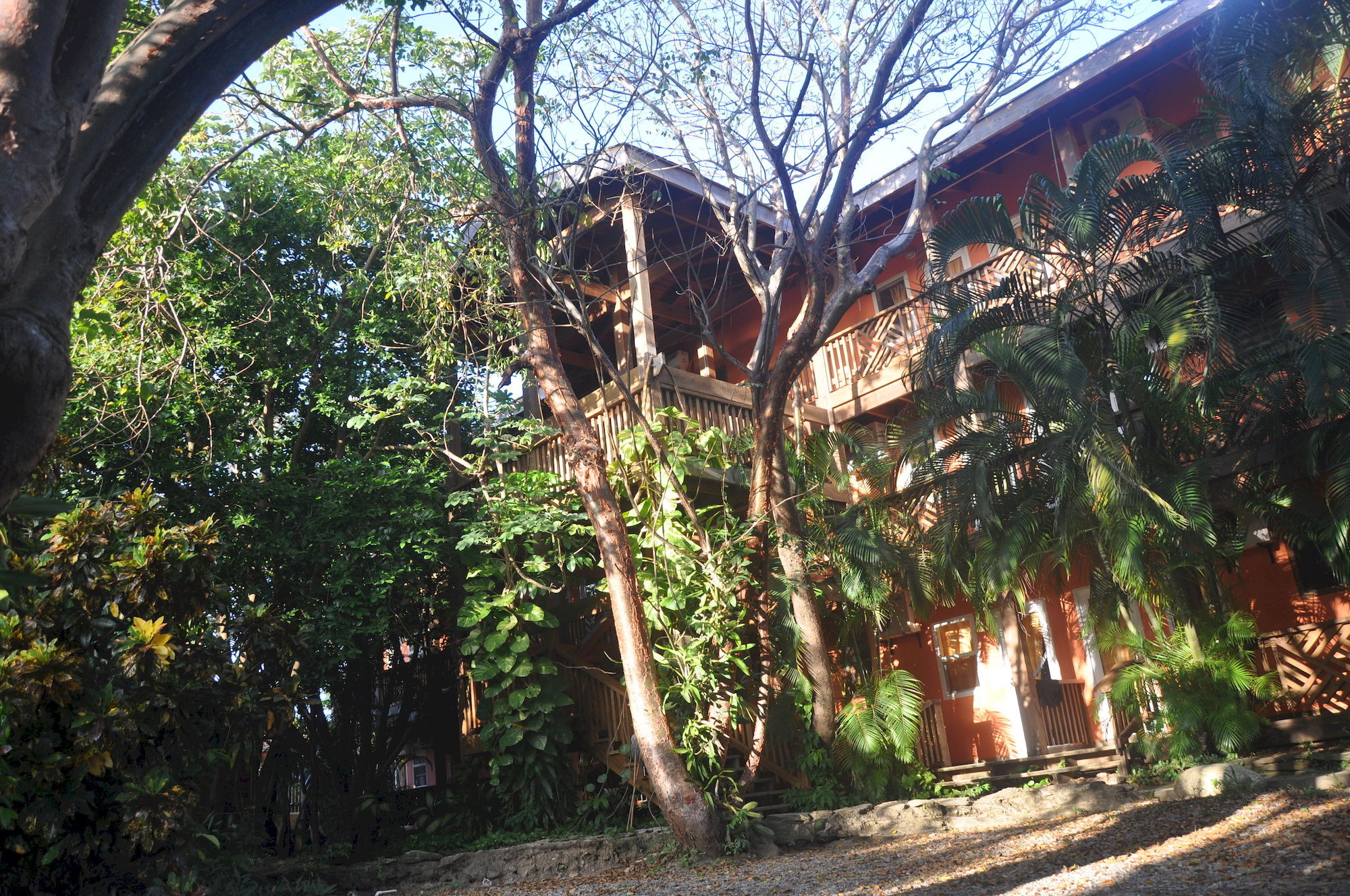 Hotel Posada Las Orquideas,West End Exteriér fotografie