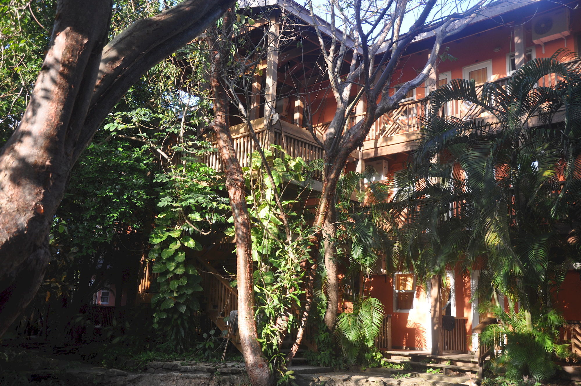 Hotel Posada Las Orquideas,West End Exteriér fotografie